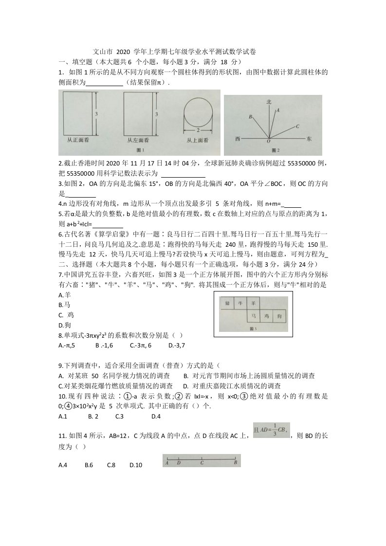 云南省文山市2020-2021学年七年级上学期期末学业水平测试数学试题.docx 第1页