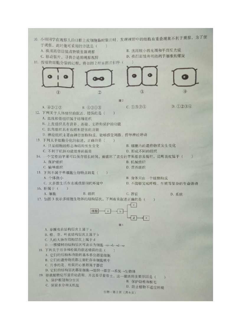 云南省文山市2020-2021学年七年级上学期期末学业水平测试生物试题（图片版）.docx 第2页