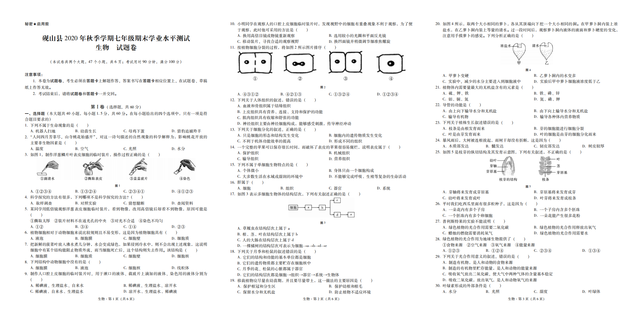 云南省文山州砚山县2020-2021学年七年级上学期期末学业水平测试生物试题（PDF可编辑版）.pdf 第1页