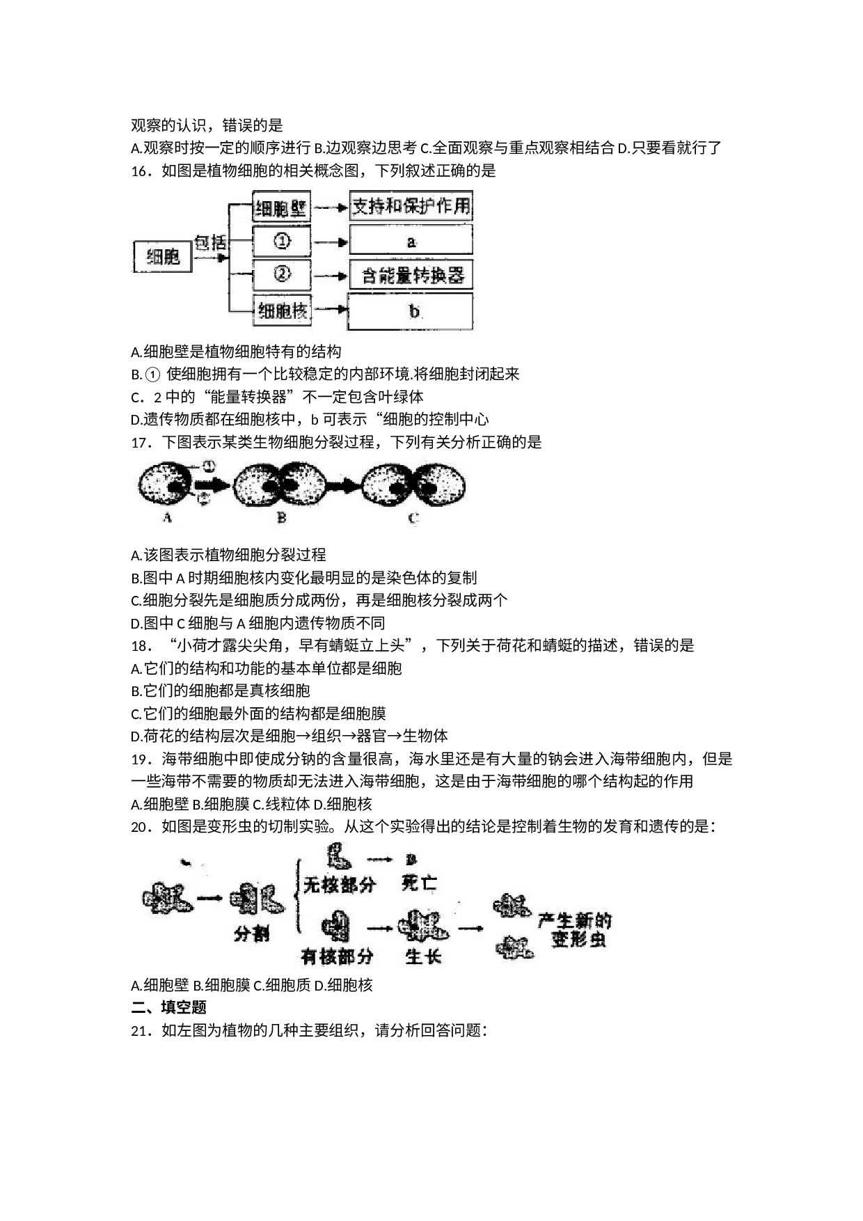 江西省宜春市第十中学2022-2023学年七年级上学期期中生物试卷.docx 第3页