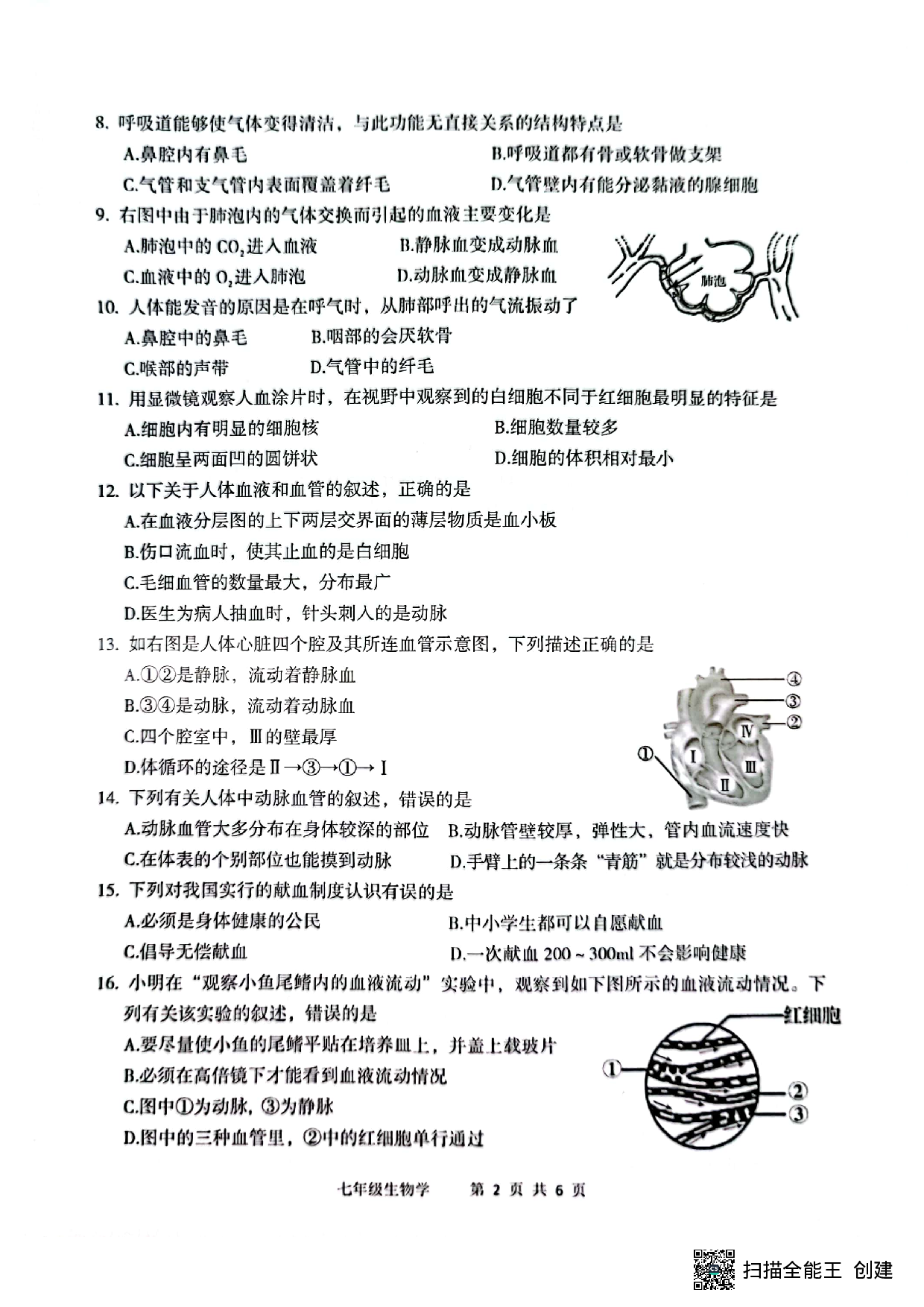 广东省江门市新会区2019-2020学年七年级下学期期末生物试题.pdf 第2页