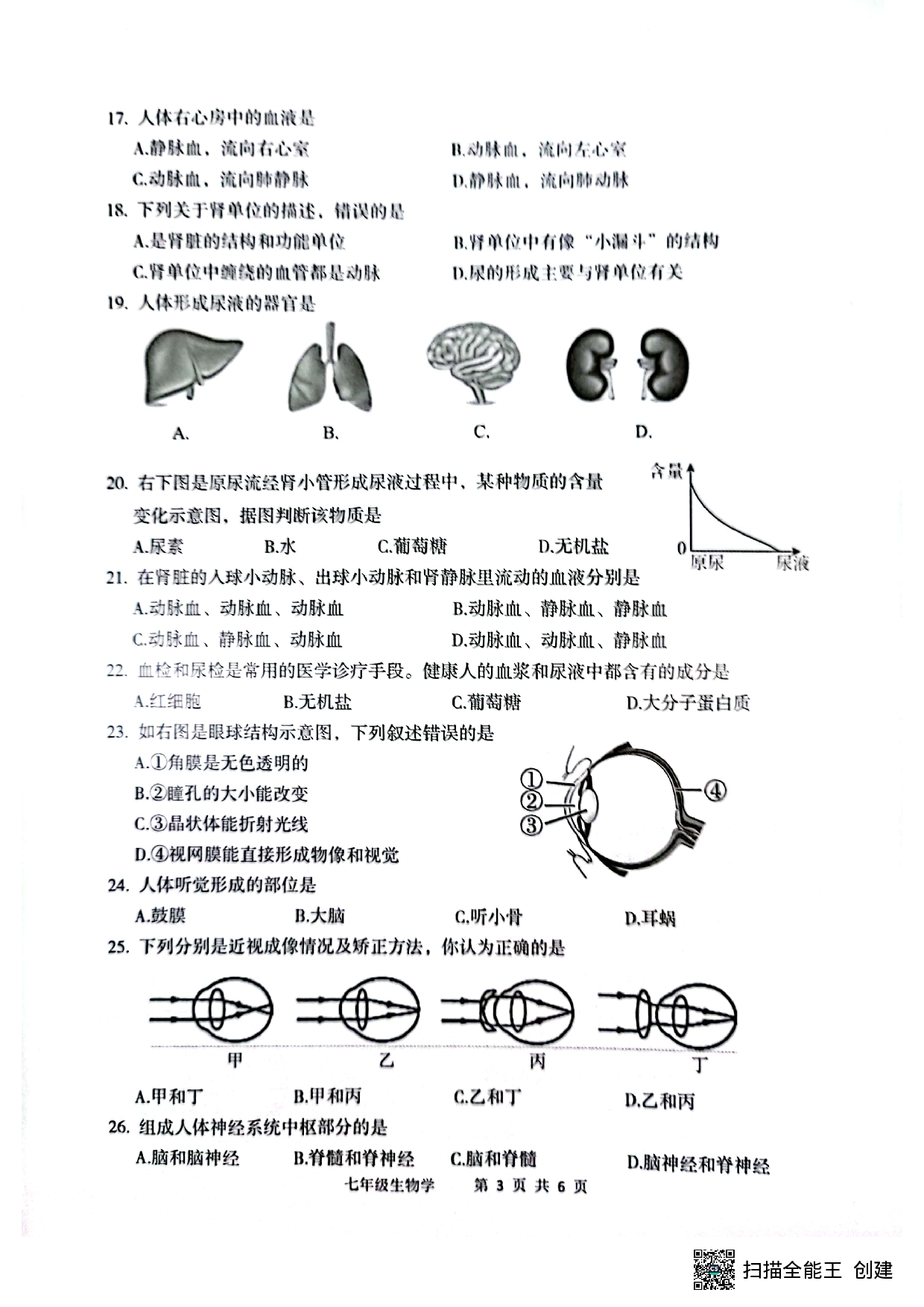 广东省江门市新会区2019-2020学年七年级下学期期末生物试题.pdf 第3页