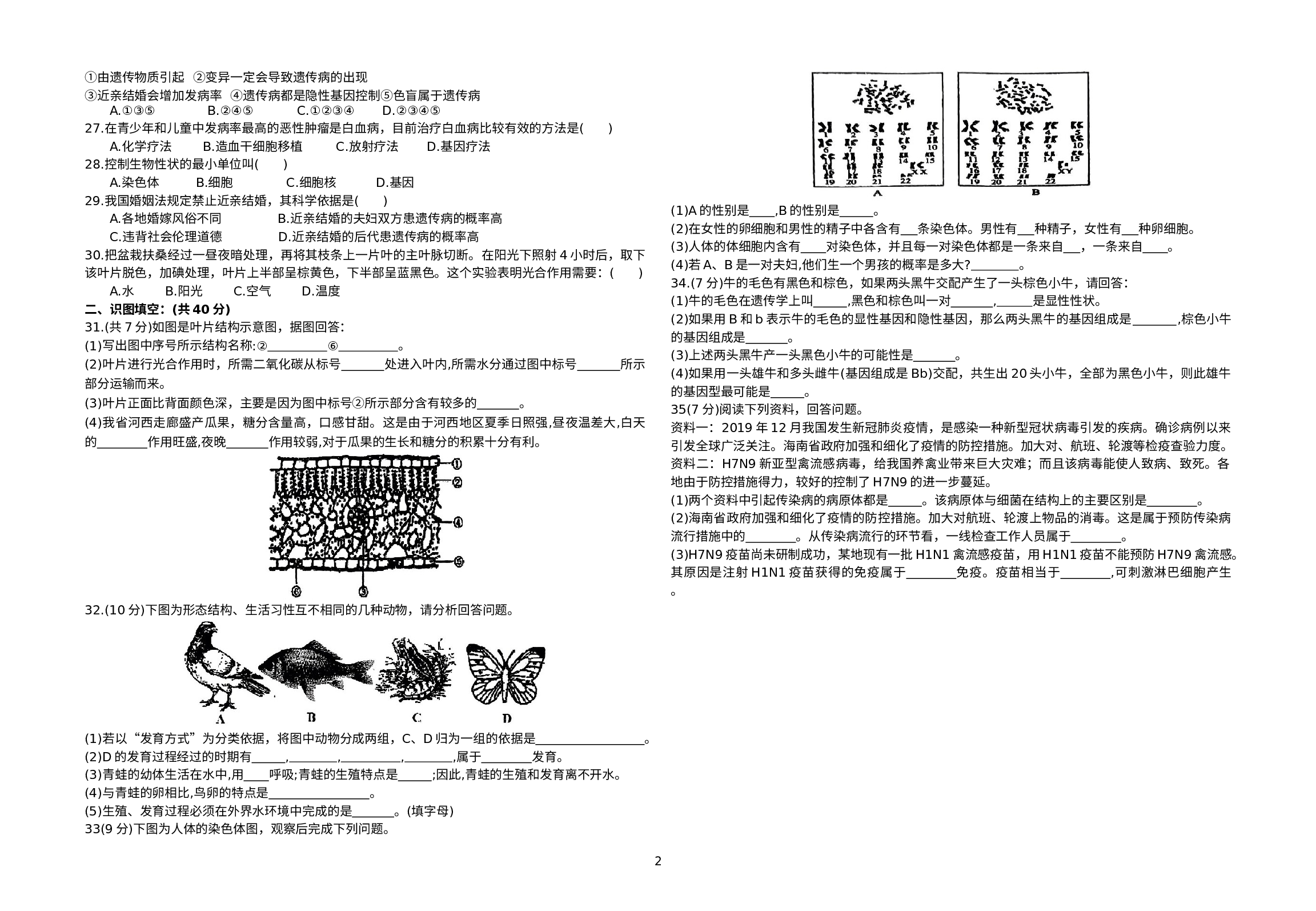 甘肃省金昌永昌六中2021-2022学年八年级下学期生物期中试卷.docx 第2页