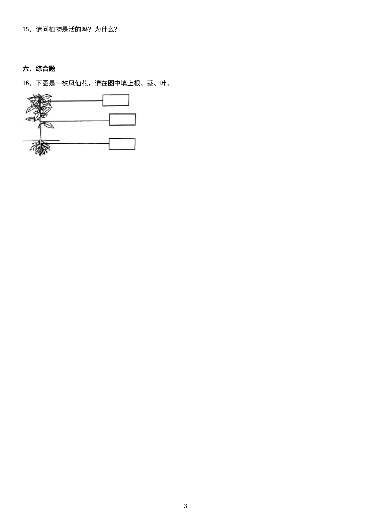 期末检测题A卷(试题）一年级下册科学青岛版.docx 第3页