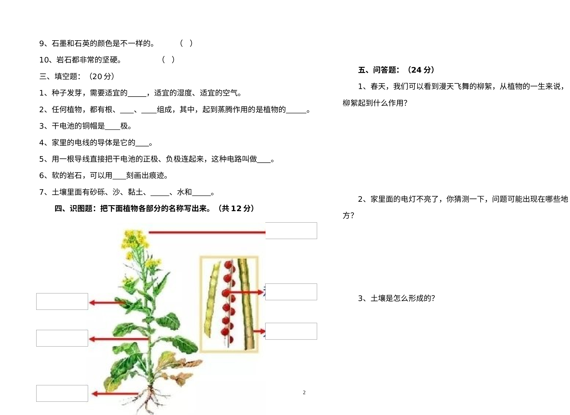 期末试卷（三）（试题）-教科版科学四年级下册.docx 第2页