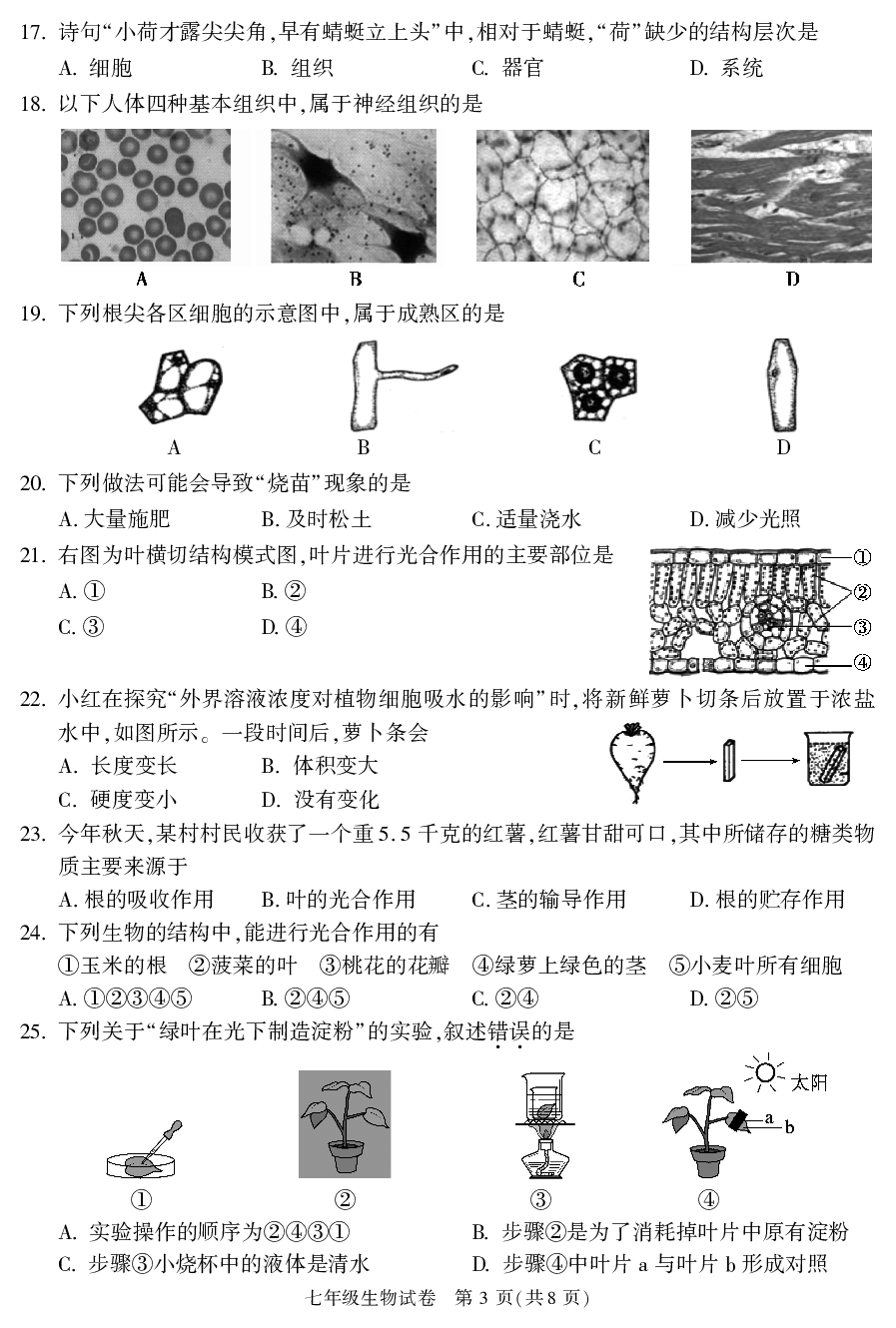 北京市朝阳区2021 ~2022学年上学期期末检测七年级生物试卷(选用).pdf 第3页