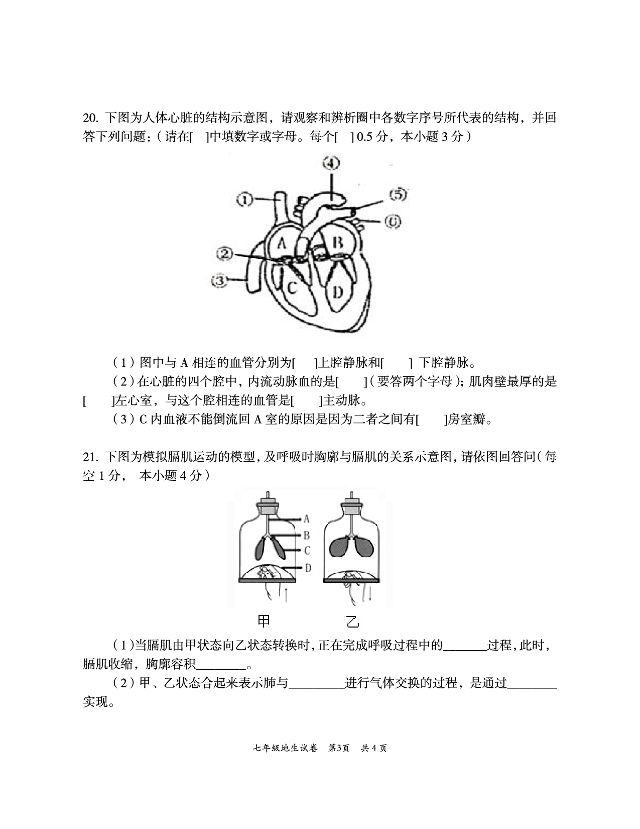 湖北省黄石市阳新县2019-2020学年七年级下学期期末考试地理、生物试题.pdf 第3页