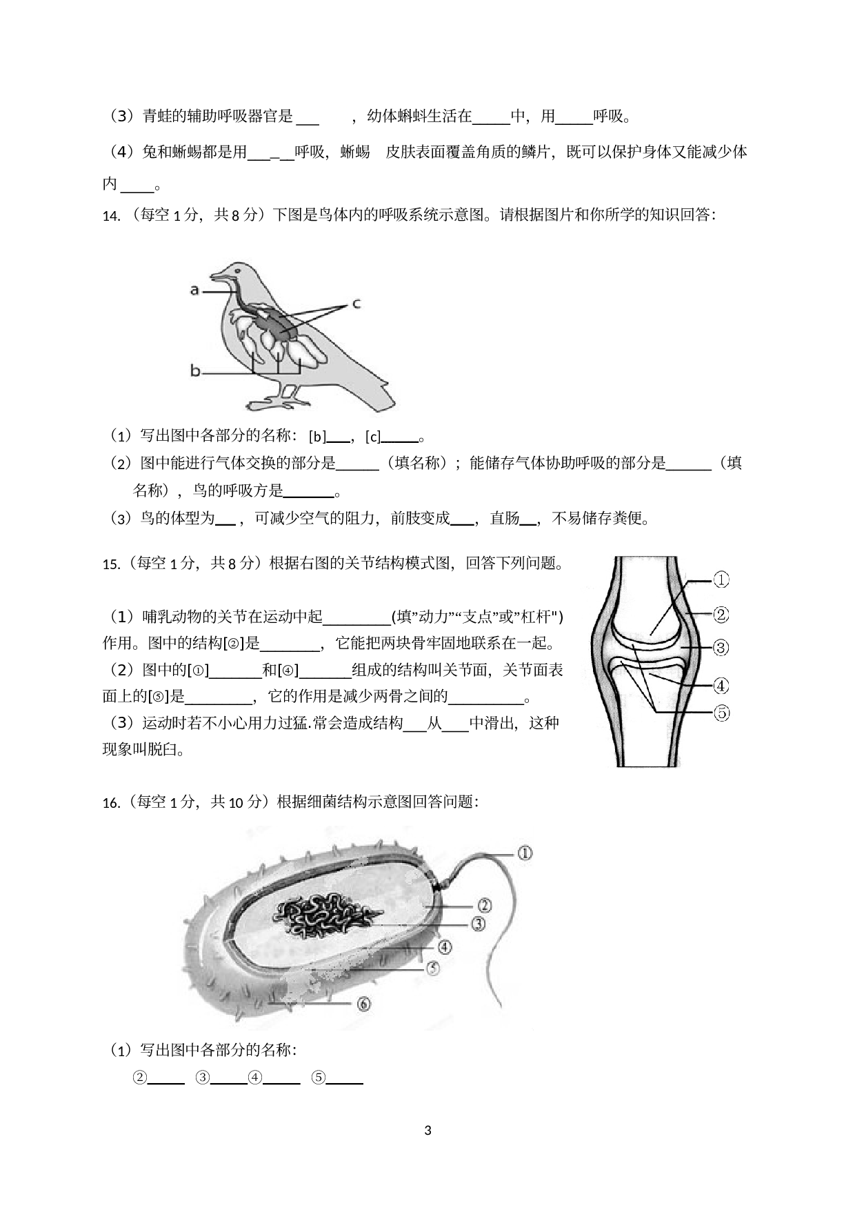 青海省西宁市海湖中学2020-2021学年八年级下学期开学考试生物试题.doc 第3页
