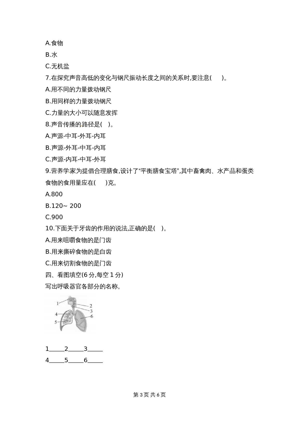 教科版科学四年级上册 期中检测卷（1）（含答案） 第3页