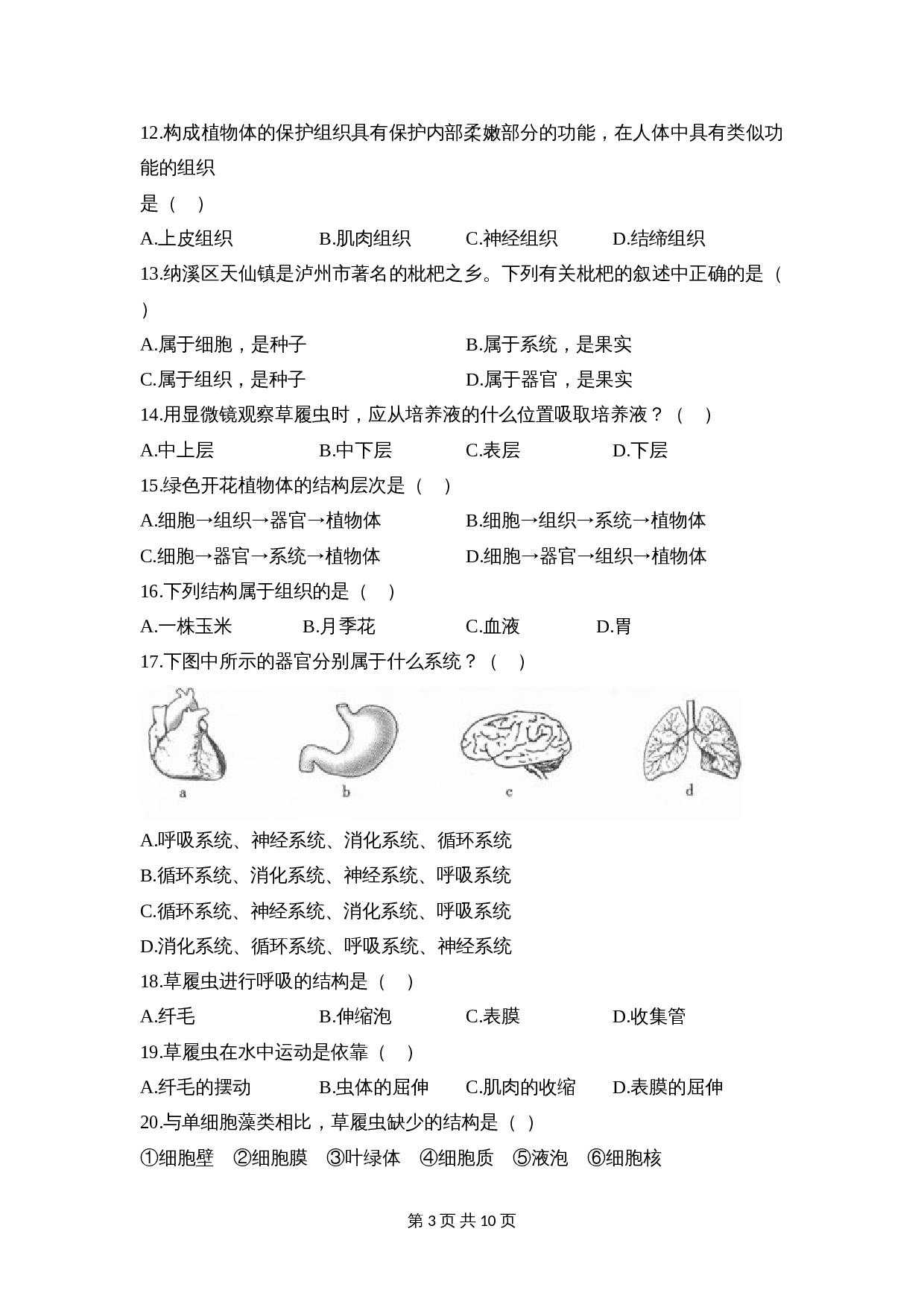 苏教版生物七年级上册第2单元第四章 《生物体的组成》章末检测（含答案） 第3页
