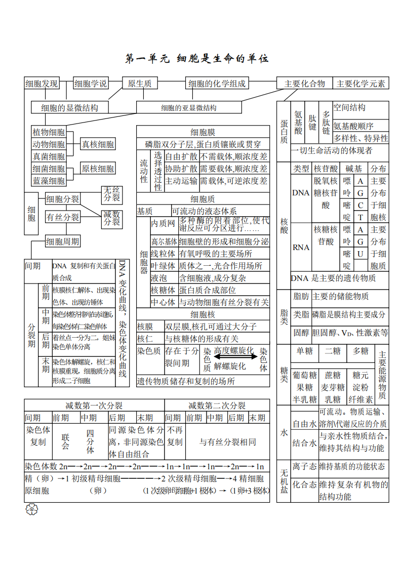 高中【生物】状元笔记 第1页