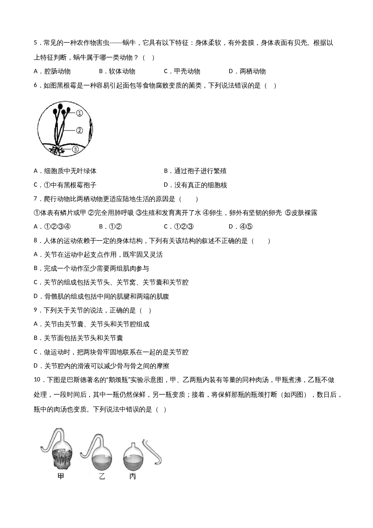 人教版八年级上册生物试题 期中测试卷01（含解析） 第2页