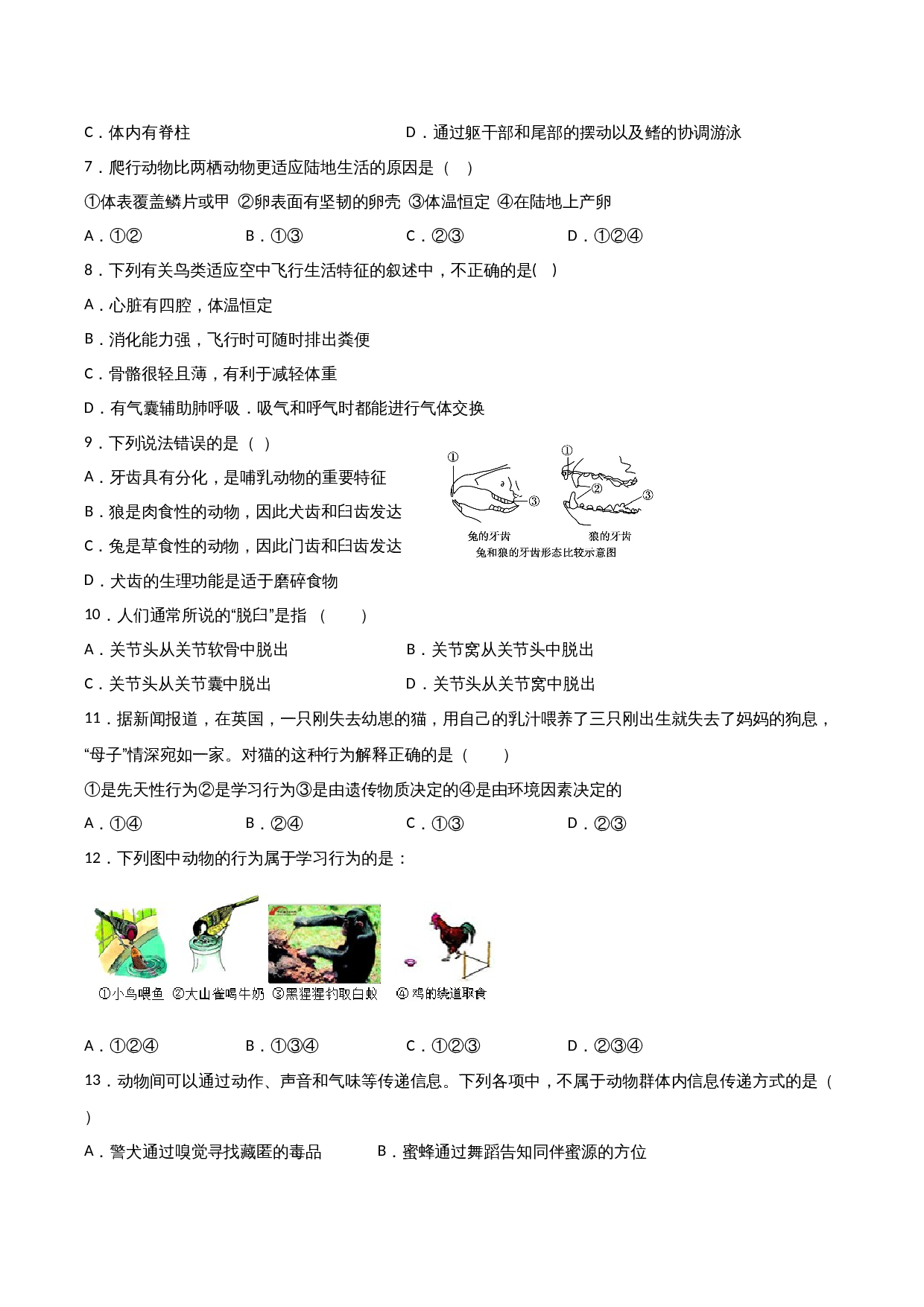 人教版八年级上册生物试题 期中测试卷02（含解析） 第2页