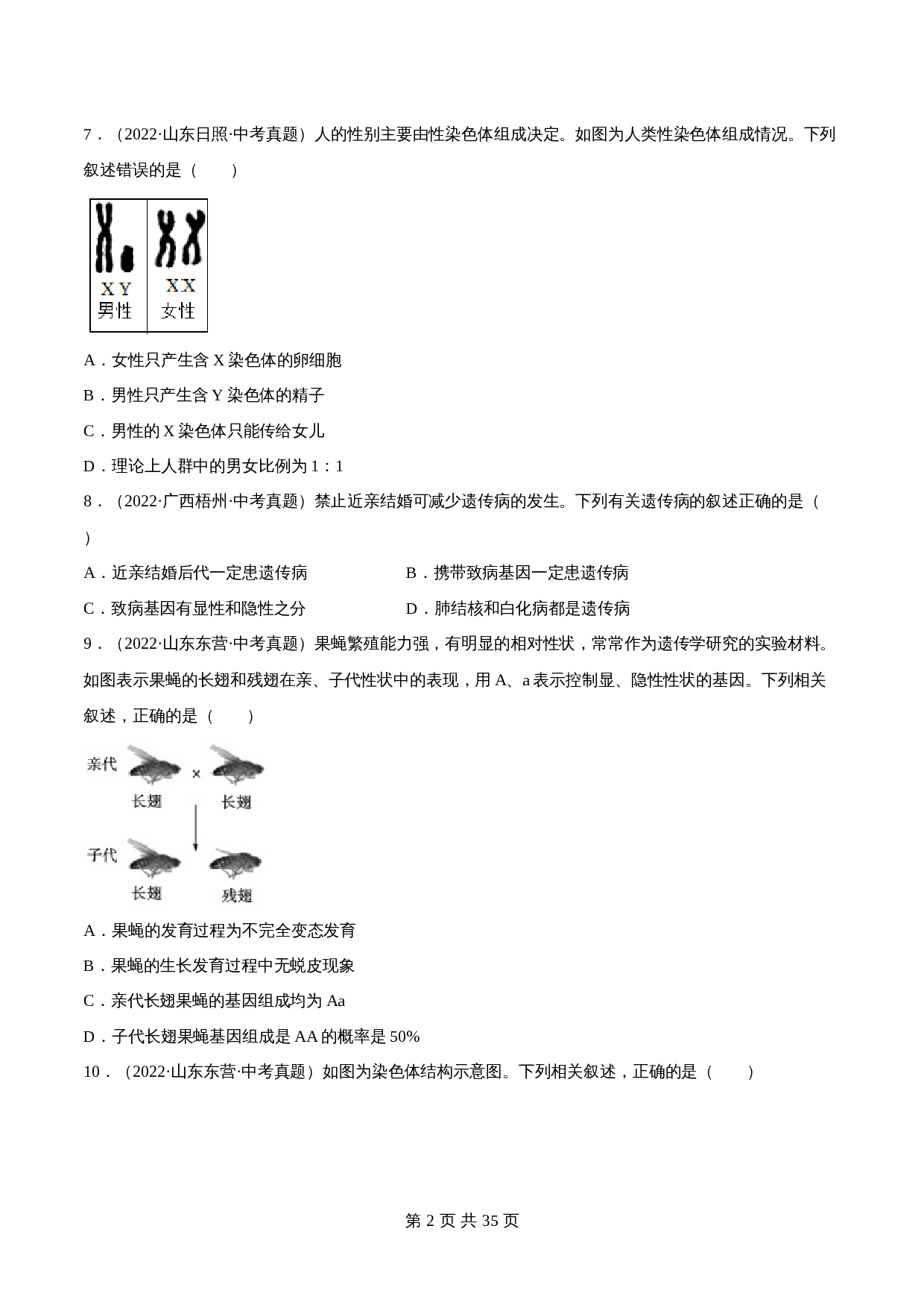 【专题训练】专题16 生物的遗传和变异（含解析）-2024年中考生物一轮复习（全国通用） 第2页