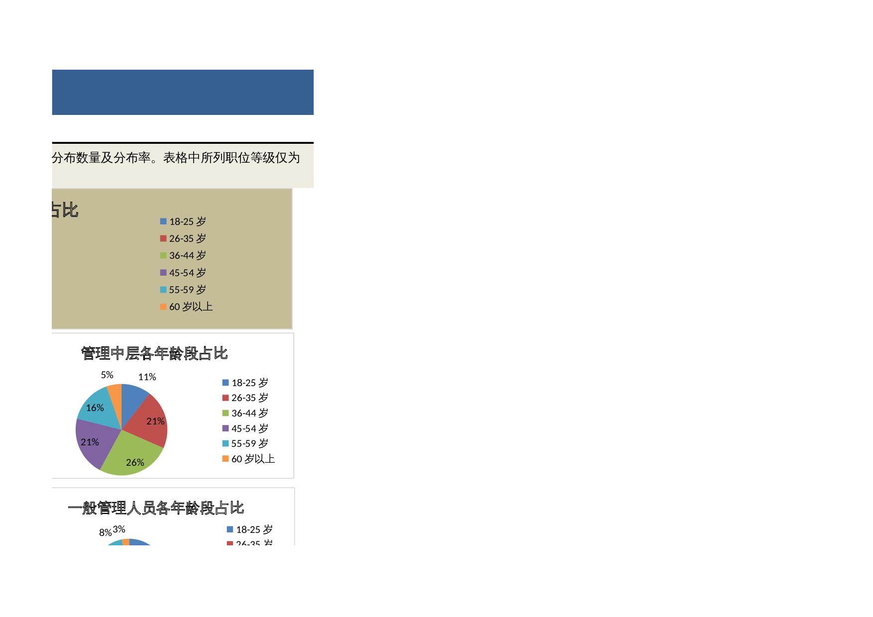 人力资源年龄结构分析（职位维度） 第3页